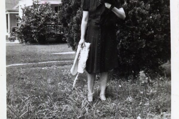 Photo of Bombi Dausin